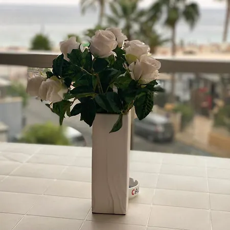 דירה Timora Sea View New Apart' Hipocampos קלפה